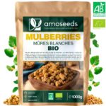 Mûres blanches
